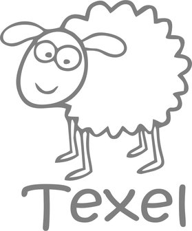 Texels schaap