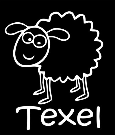 Texels schaap